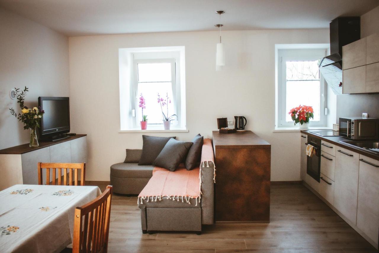 Apartma Moser Podnanos Extérieur photo